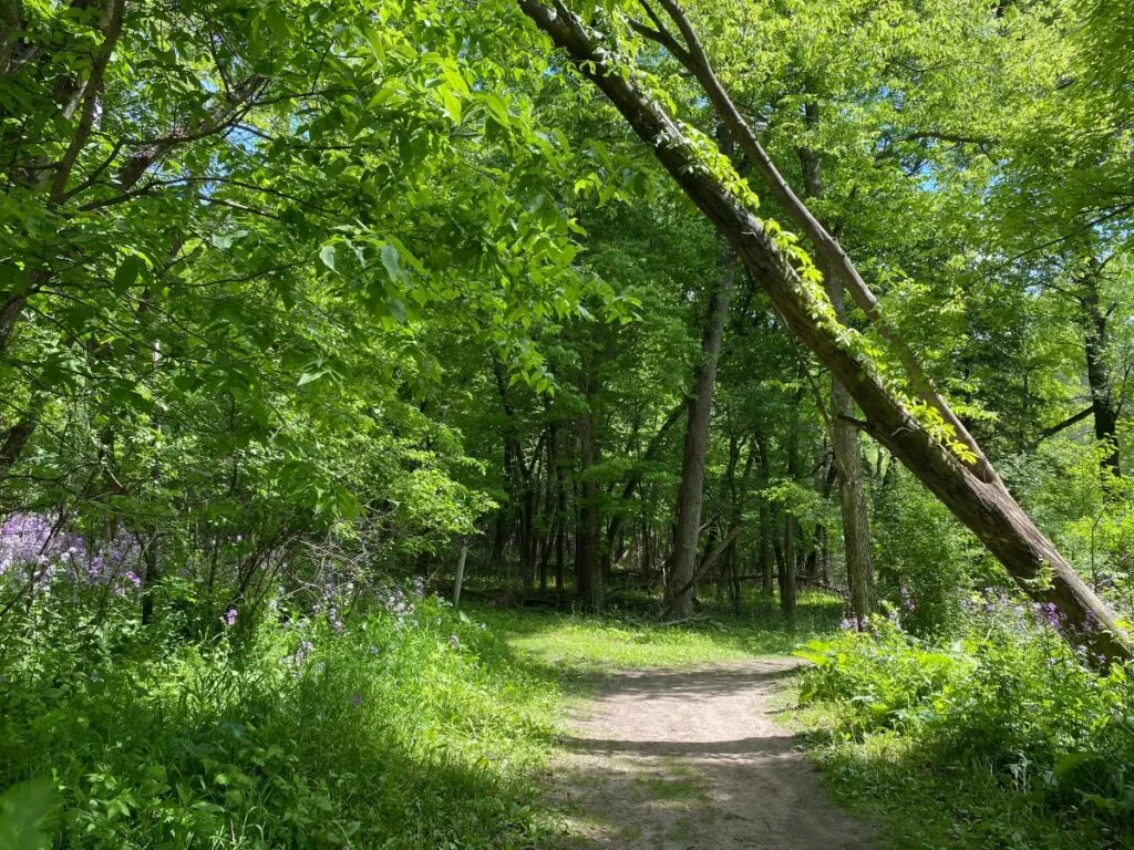 Flandrau State Park in Minnesota.
