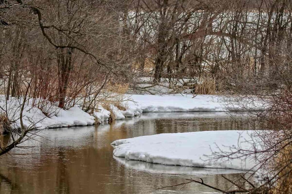 A Minnesota river or stream in the winter.