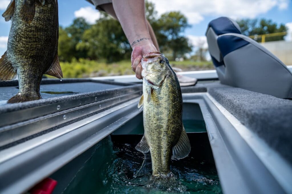 best bass fishing boats