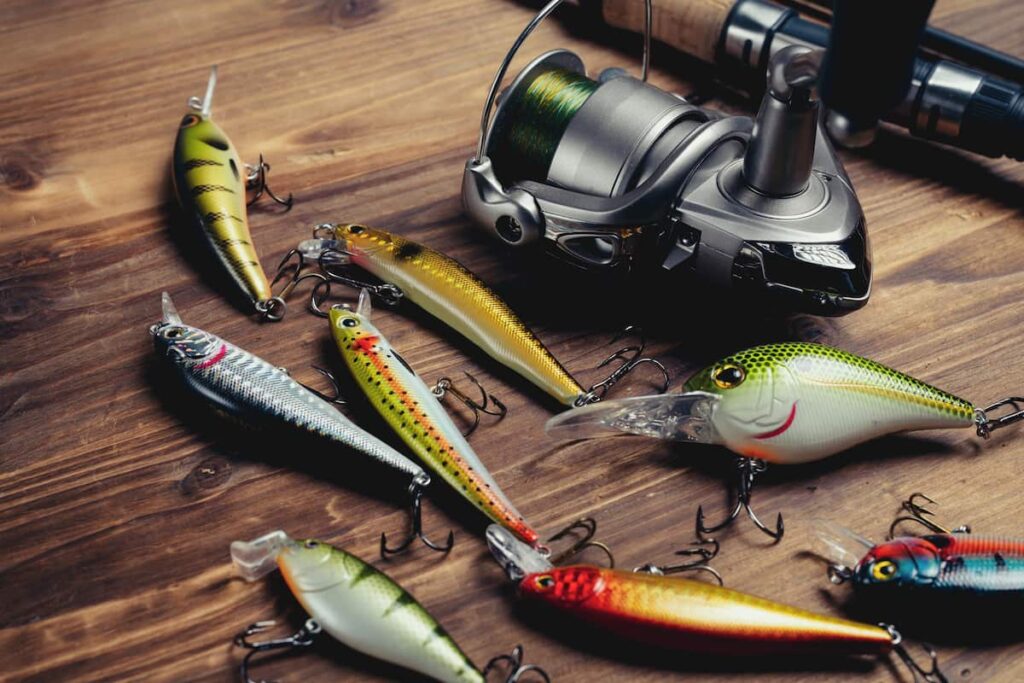 best fishing rigs for beginners