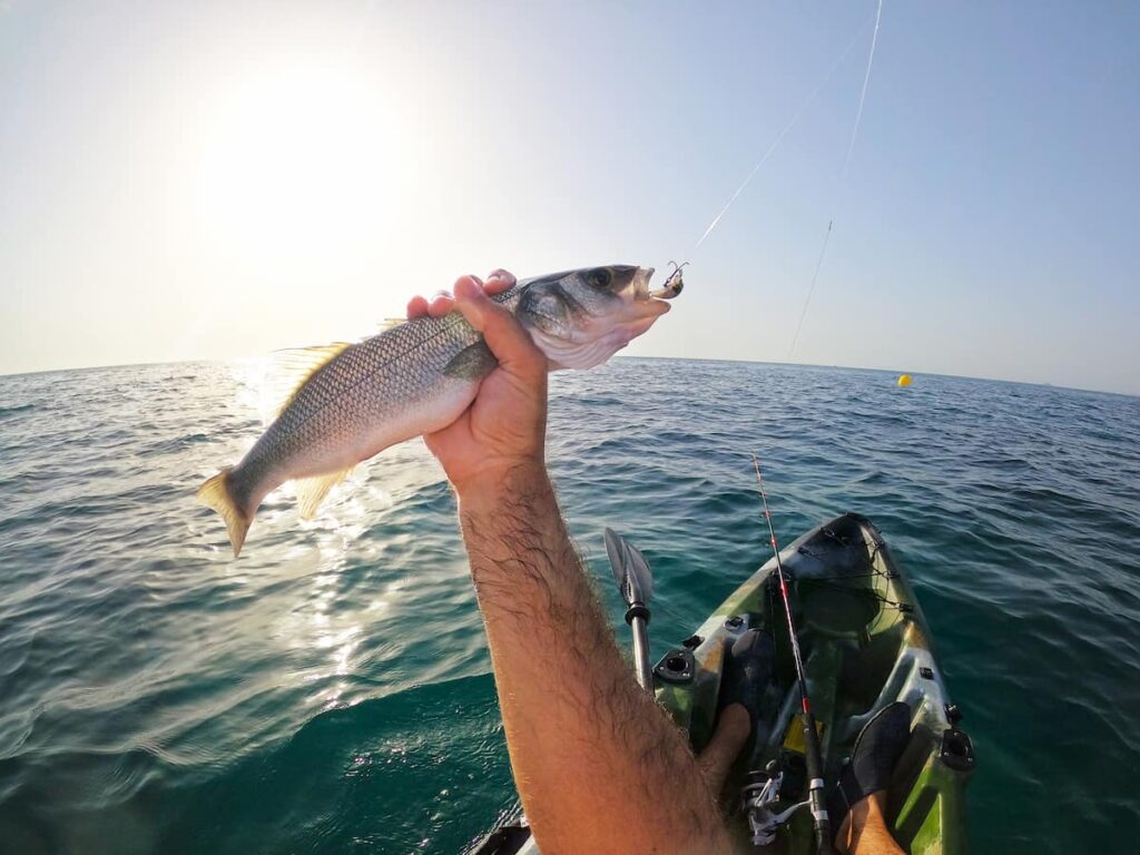 kayak bass fishing