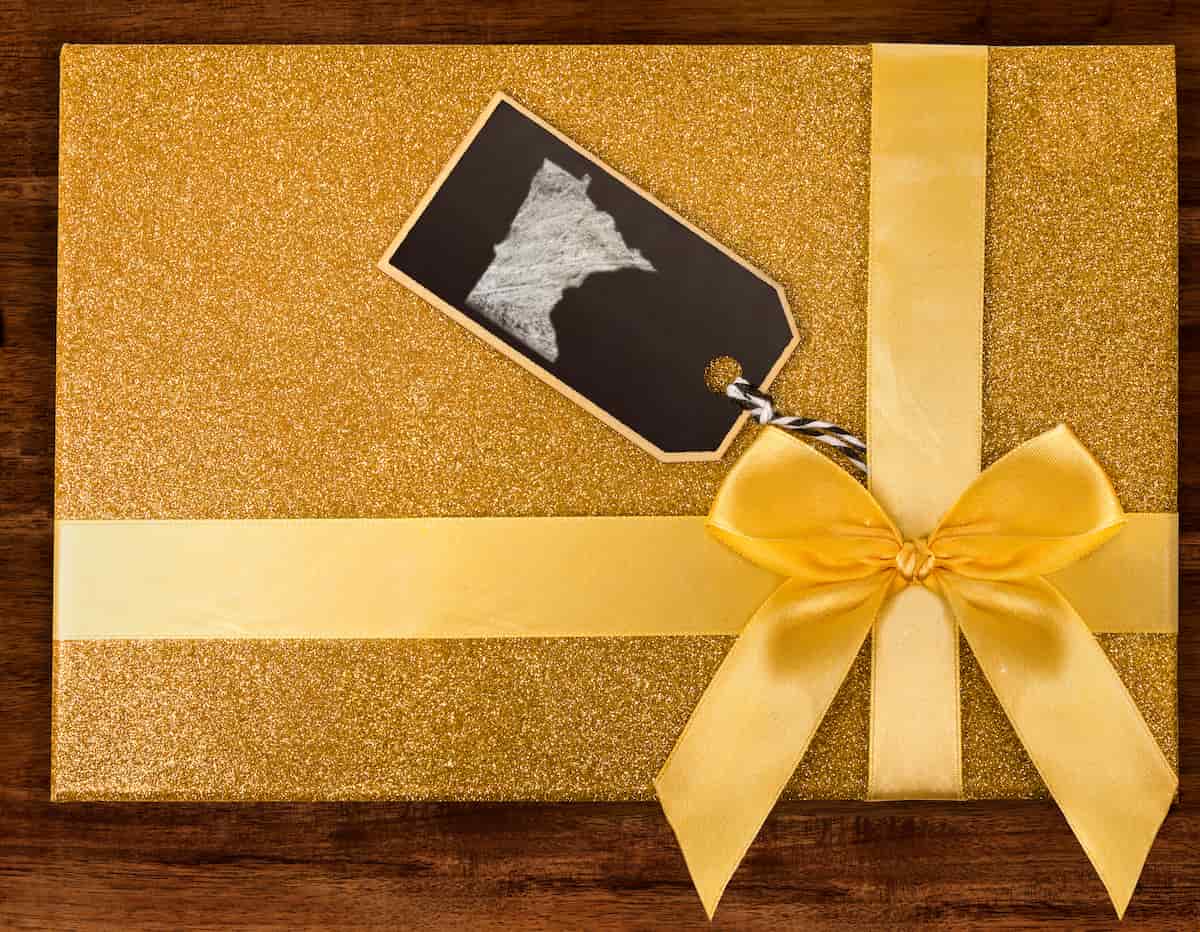 minnesota gifts