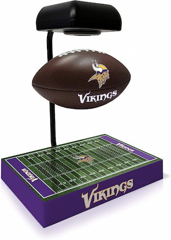 minnesota vikings gifts