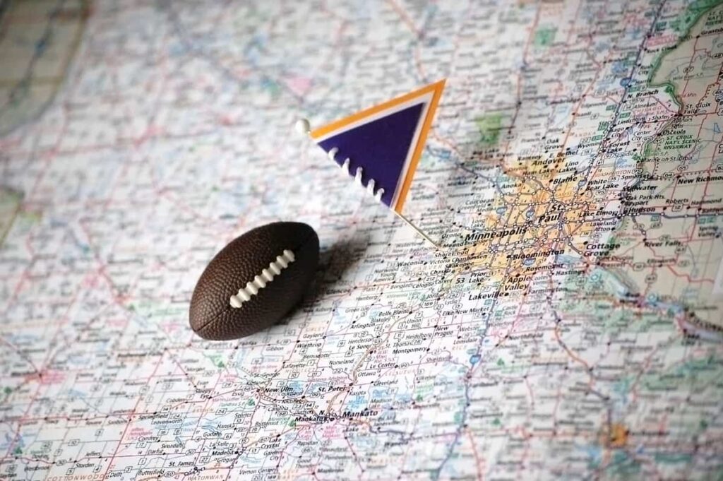 minnesota vikings gifts
