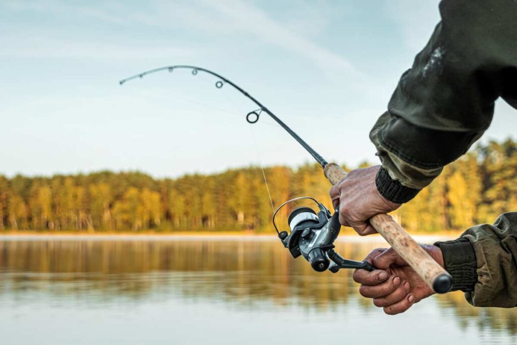 Freshwater Fishing