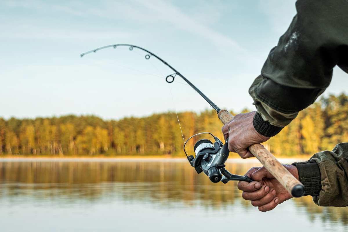 Freshwater Fishing
