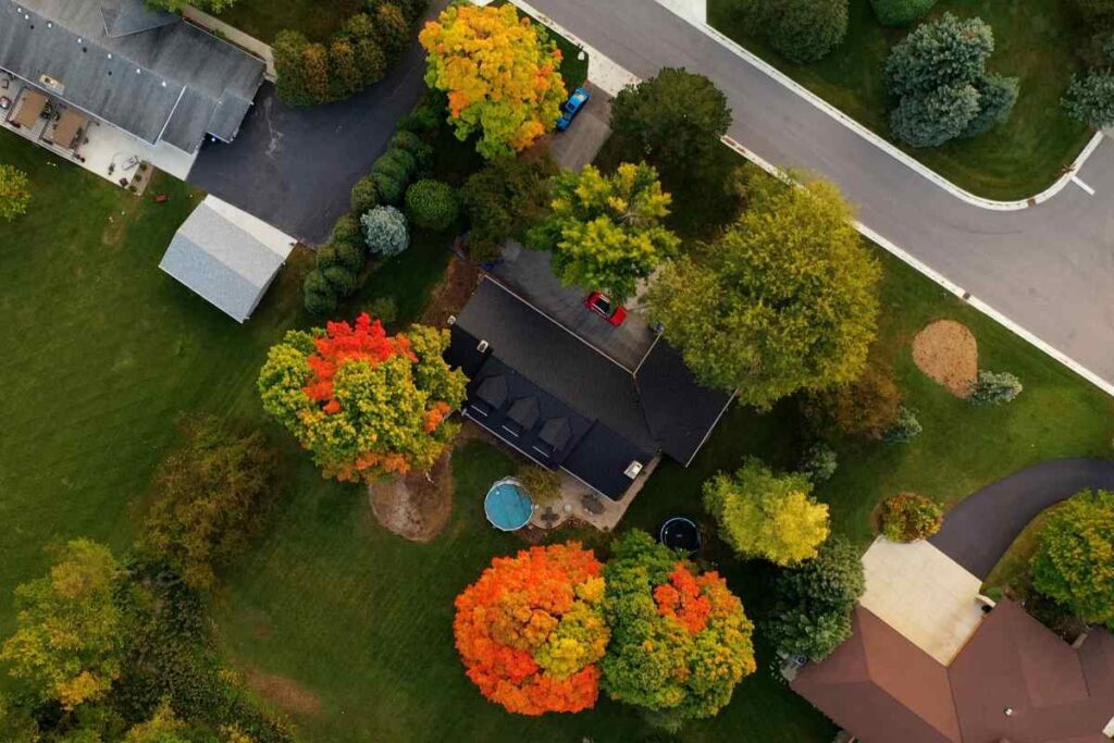 Trendy Neighborhood