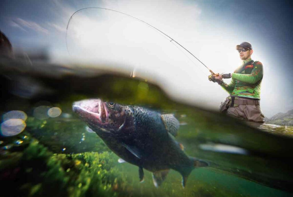 Underwater view of trout with fisherman in the background