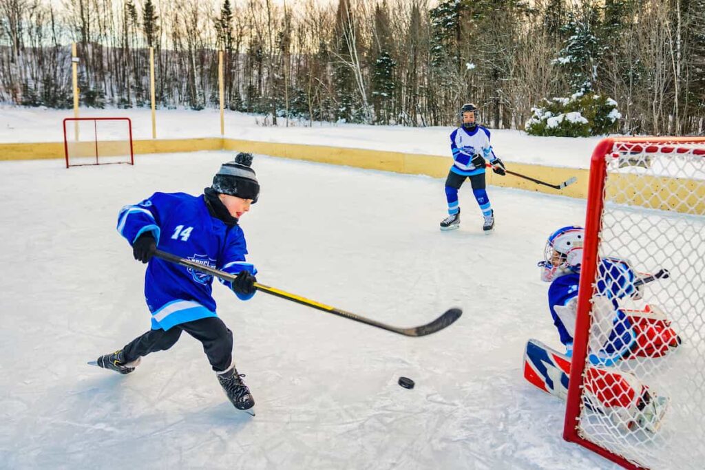 backyard hockey rink