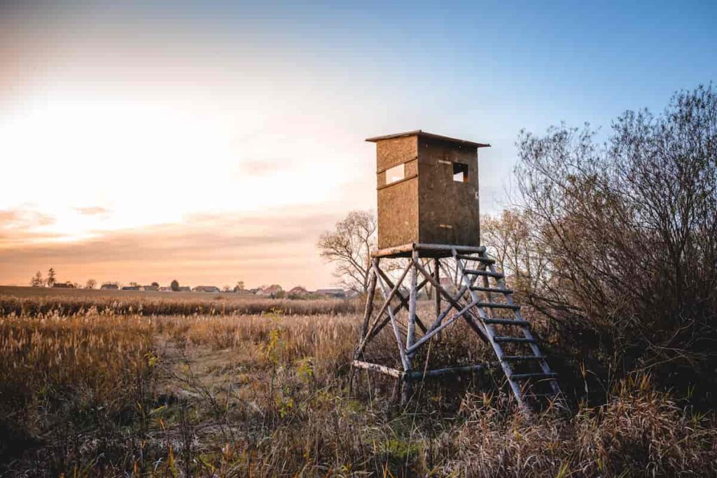deer hunting blinds