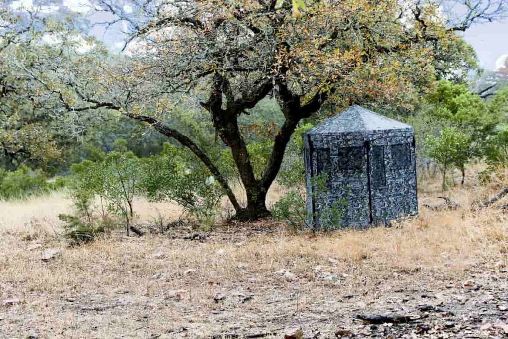 deer hunting blinds
