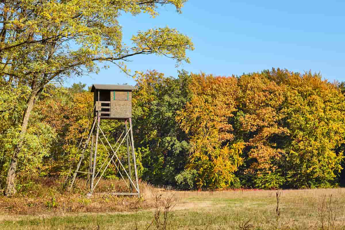 Deer Hunting Blinds: Why They're Essential and How to Choose the Right