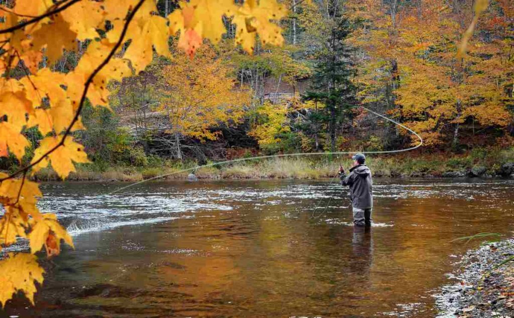 Autumn Fishing