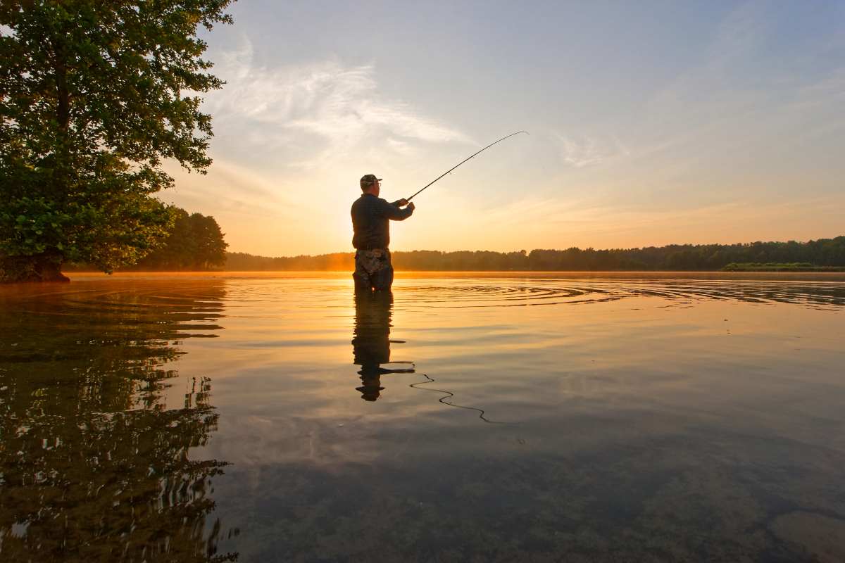 Best Times to Fish