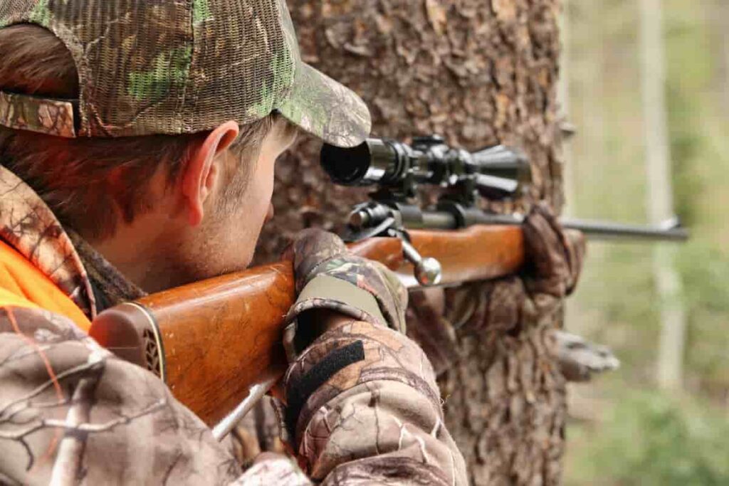best deer hunting caliber