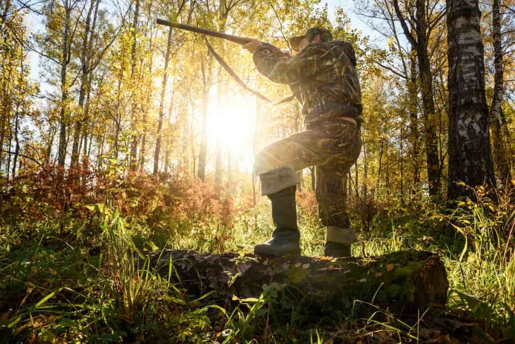 best deer hunting caliber