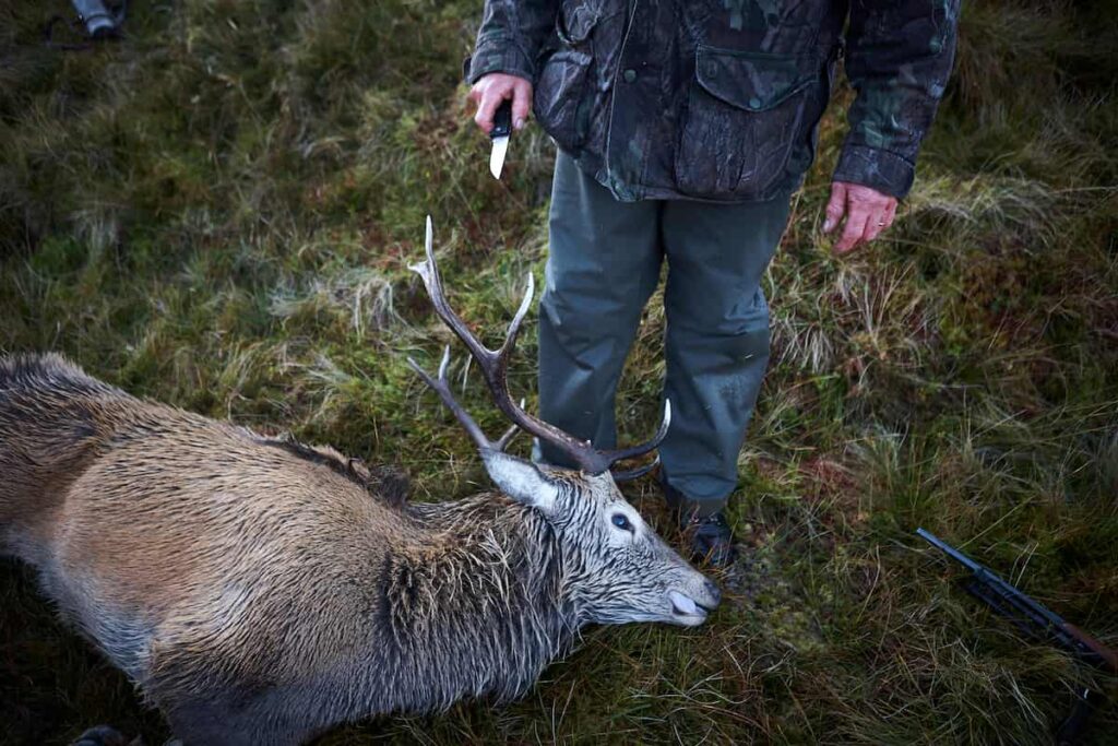 best knives for deer hunting