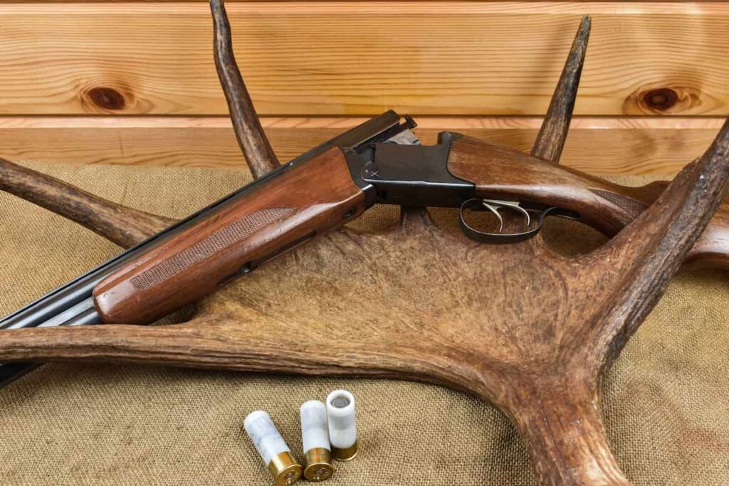 hunting deer with a shotgun
