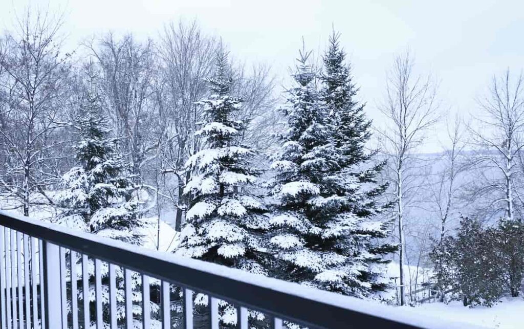 A winter scene from a deck or balcony in Detroit Lakes, MN.