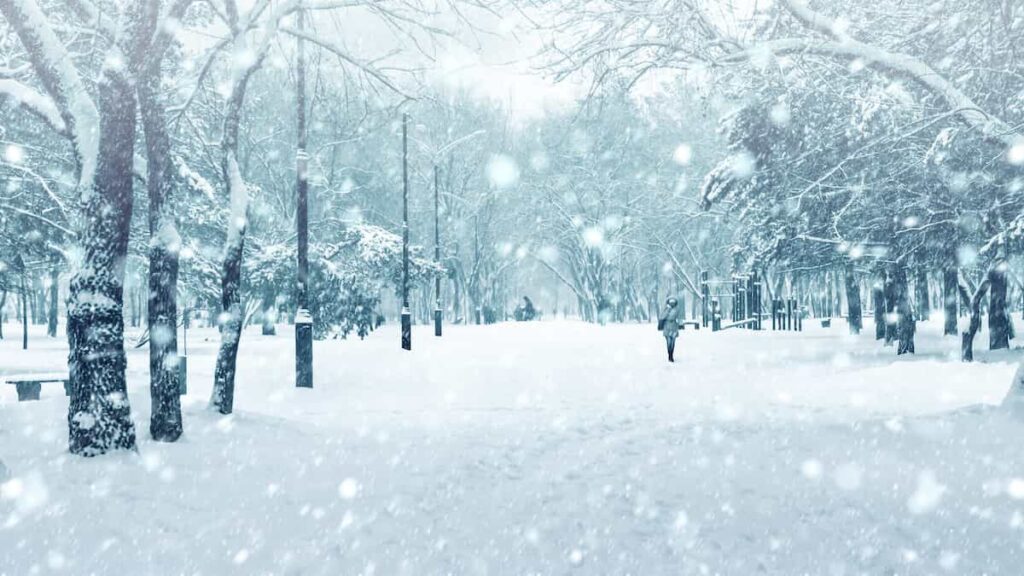 A snowy city park scene.