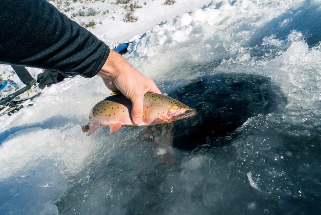winter activities in Minnesota
