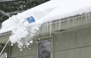 roof rake for snow